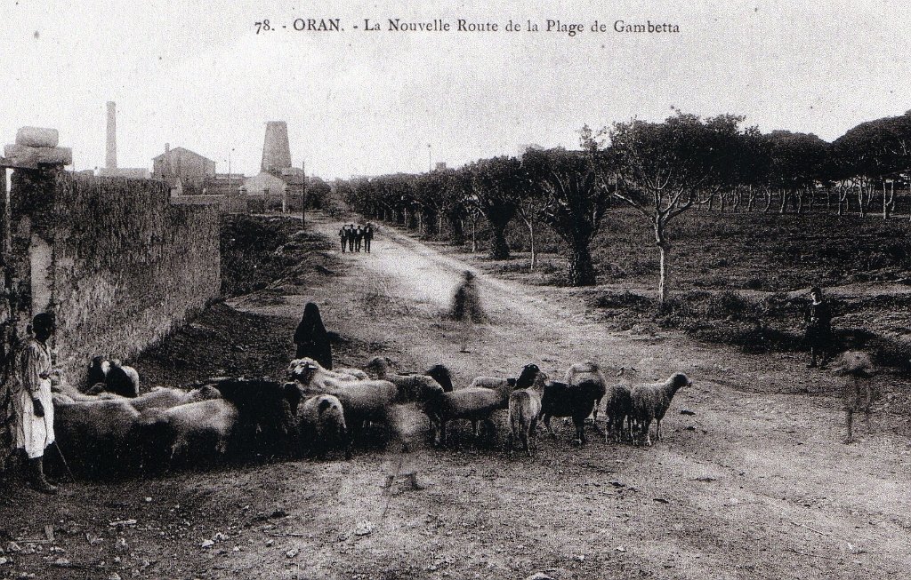 69 route de Gambetta.JPG